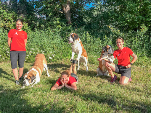 Elles murmurent à l’oreille des chiens Posté le 23.09.2024