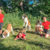 Elles murmurent à l’oreille des chiens Posté le 23.09.2024