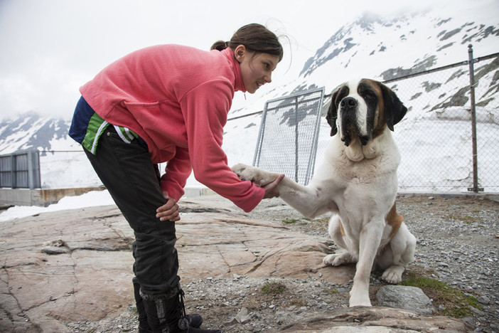 SANITA: Il cane San Bernardo diventa terapeuta