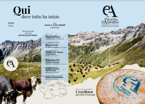 Estrema d’Alpeggio prodotta in Valle d’Aosta. Un nuovo corso per il formaggio d’eccellenza più alto d’Europa