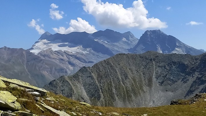 Il Monte Leone, il re delle Alpi Lepontine. In primo piano il Tochuhorn. (ph. M. Carlesso)