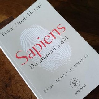 Il libro di Harari sull’evoluzione dei Sapiens (ph. Mauro Carlesso)