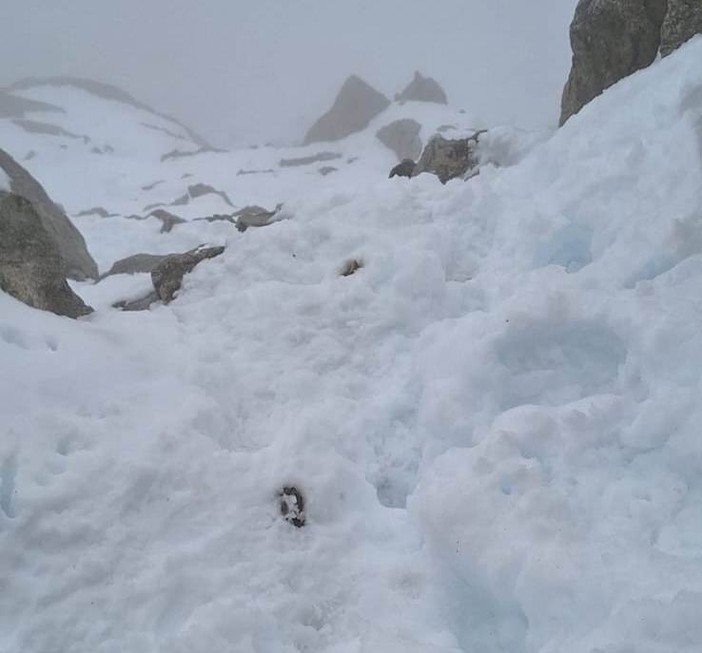 Operazione di soccorso sul Dente del Gigante