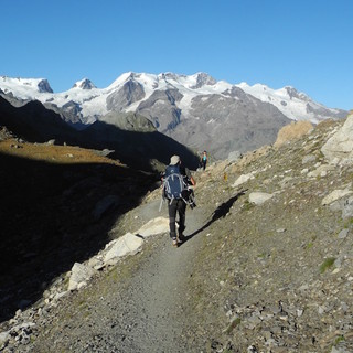 MONTAGNA VDA: COL DI NANNAZ - CHAMOIS