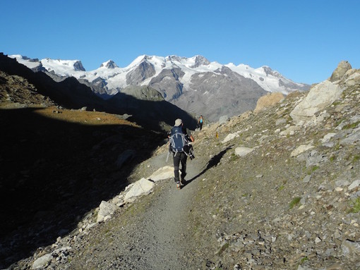 MONTAGNA VDA: COL DI NANNAZ - CHAMOIS