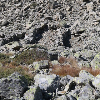 MONTAGNA VDA: VILLAGGIO SALASSO DEL TANTANE’ - LA MAGDALEINE