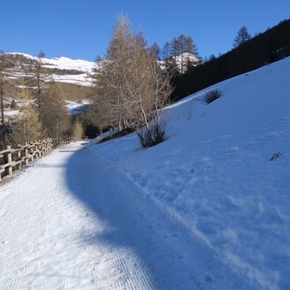 MONTAGNA VDA: VEUILLEN - CHAMOIS