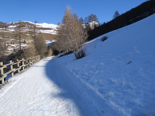 MONTAGNA VDA: VEUILLEN - CHAMOIS