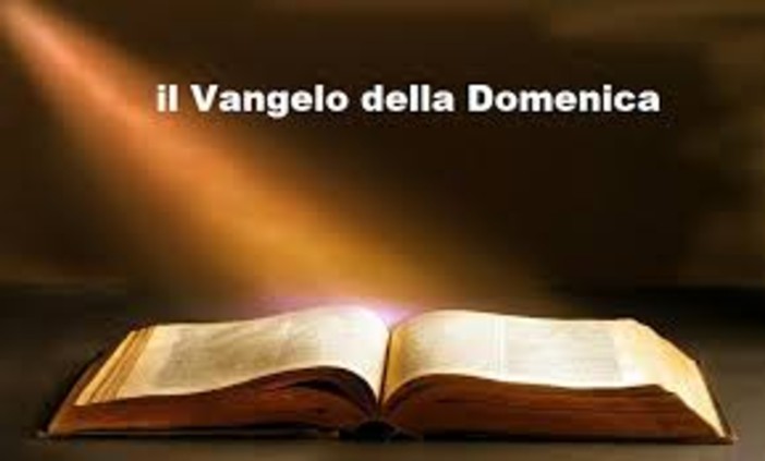 VANGELO DELLA DOMENICA: Uguale a fiorire