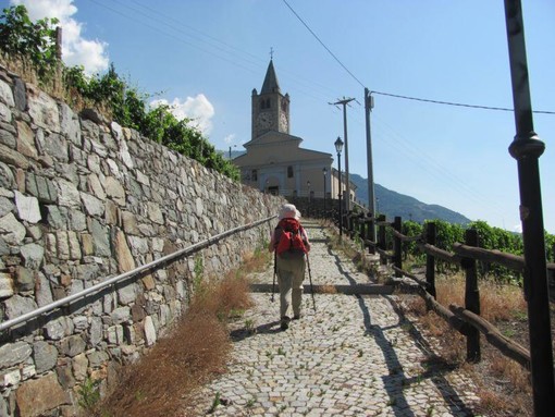 Un tratto della Via Francigena tratto da www.gulliver.it