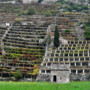 Confronto sul Futuro del vino valdostano tra sfide e opportunità per il settore vitivinicolo