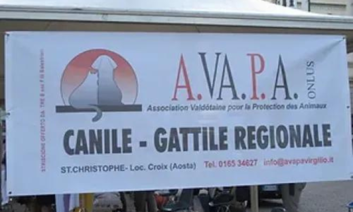 Ammodernamento del Canile e Gattile Regionale; interventi in corso