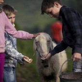 Alla scoperta dell'agricoltura con i percorsi didattici nelle scuole valdostane