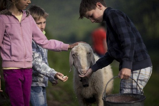 Alla scoperta dell'agricoltura con i percorsi didattici nelle scuole valdostane