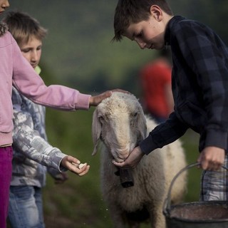 Alla scoperta dell'agricoltura con i percorsi didattici nelle scuole valdostane