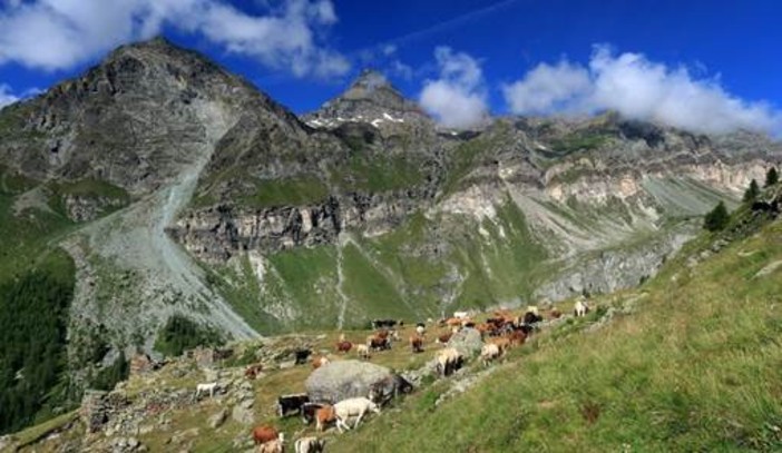 Il Vallone Cime Bianche