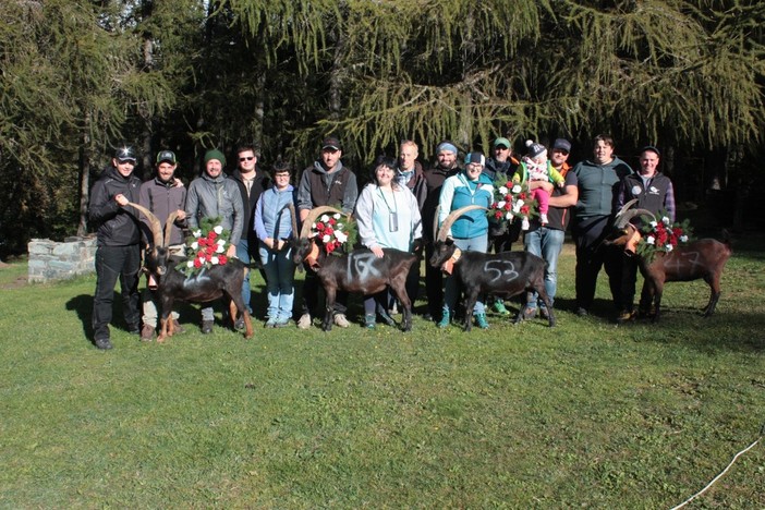 Batailles de chevres: A Challand-Saint-Anselme grande spettacolo