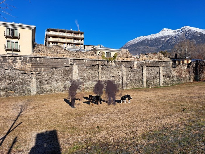 Aosta: Aggredito da due cani e insultato dai proprietari