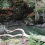 Torrente in Val Grande (ph. F. Ravezzani)