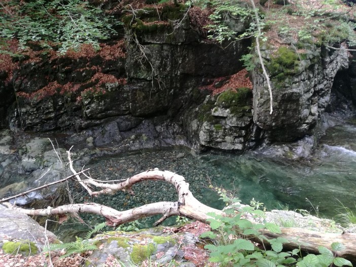 Torrente in Val Grande (ph. F. Ravezzani)