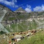 Il Vallone Cime Bianche