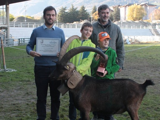 XXII Rassegna Regionale Ovina e Caprina delle Razze Autoctone