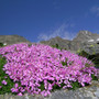 ph. Parco Nazionale Gran Paradiso