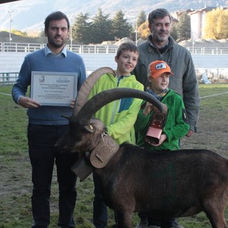 XXII Rassegna Regionale Ovina e Caprina delle Razze Autoctone