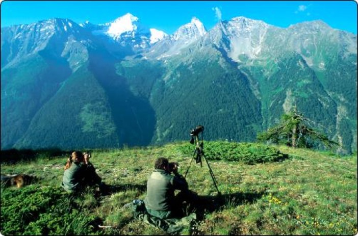 Foto repertorio PNGP