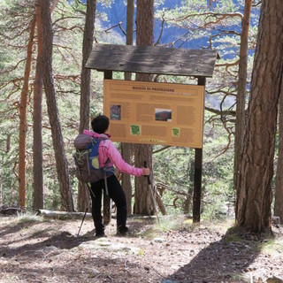 MONTAGNA VDA: LIEX - NATURALISTICO ANTEY-SAINT-ANDRÉ