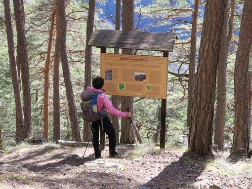 MONTAGNA VDA: LIEX - NATURALISTICO ANTEY-SAINT-ANDRÉ