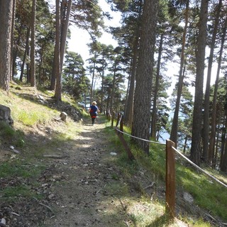 Sul sentiero che conduce alla Ferrata di Pracatinat