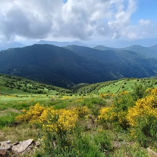 Sul Monte Spalavera (ph. M. Carlesso)