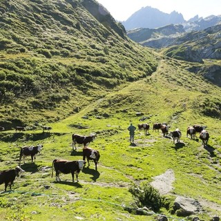 DDL Montagna: Un passo avanti, ma troppi passi indietro per affrontare le sfide climatiche e sociali