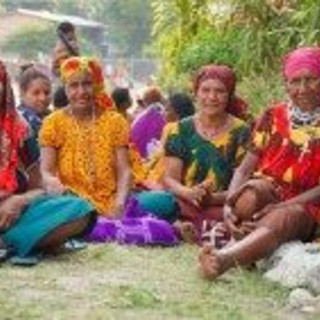 La giovane terra di Papua, esempio nella cura del creato