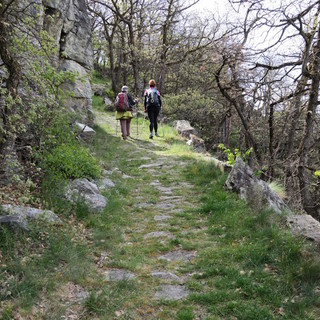 MONTAGNA VDA: STRADA DEI POLACCHI - SAINT VINCENT