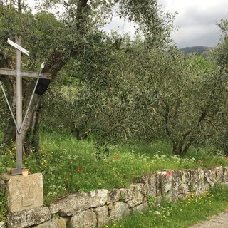 VANGELO DELLA DOMENICA: IL TEMPO VERTICALE DELL'ATTESA