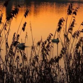 Giornata mondiale Zone Umide, la minaccia della crisi climatica