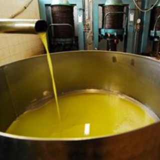 Altroconsumo, rincari olio extravergine oliva, arriva test comparativo per risparmiare