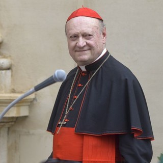 Cardinale Ravasi “Dimissioni del Papa? Potrebbe farlo”