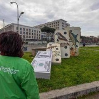 Cop16, Greenpeace in azione: &quot;Se cade la natura, casca il mondo&quot;