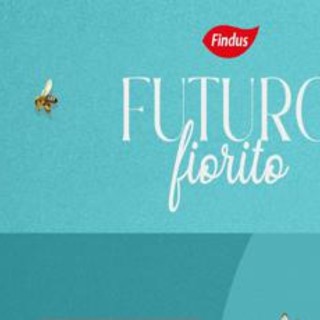 'Futuro Fiorito', progetto di Findus con 3Bee per monitorare la biodiversità nei campi