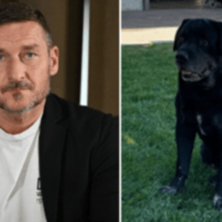 Francesco Totti, morto il cane di famiglia Diego: il dolore della figlia Chanel