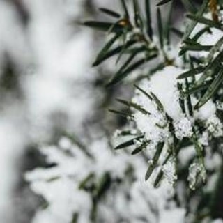 Temperature giù di 10 gradi, colpo di coda dell'inverno sull'Italia