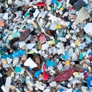 Microplastiche anche nel cervello, pari a un terzo di bottiglia