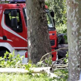 Roma, cade albero: morta una donna